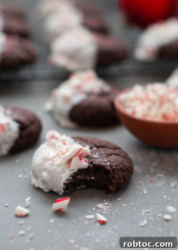 Divine White Chocolate Peppermint Vegan Gluten-Free Cookies 2 white-chocolate-dipped-peppermint-chocolate-cookies