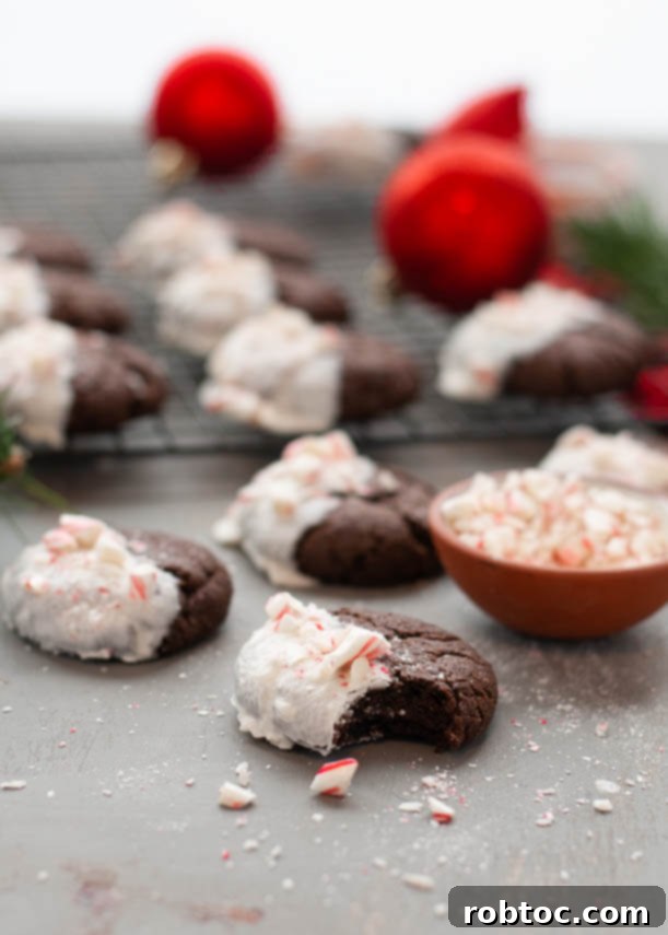 Divine White Chocolate Peppermint Vegan Gluten-Free Cookies 8 beautiful-white-chocolate-dipped-peppermint-cookies-for-christmas-cookie-plates