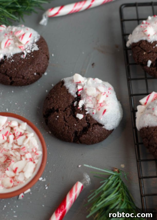 Divine White Chocolate Peppermint Vegan Gluten-Free Cookies 9 top-8-free-white-chocolate-dipped-peppermint-chocolate-christmas-cookies