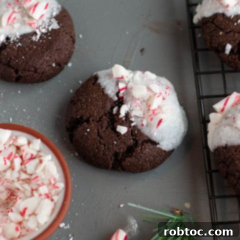 top-8-free-white-chocolate-dipped-peppermint-chocolate-christmas-cookies