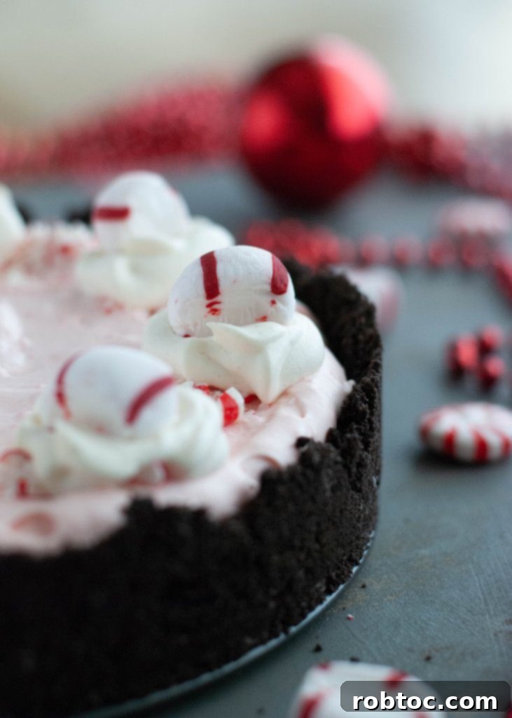 Peppermint Pie: Gluten & Dairy-Free Video Recipe 5 from-scratch-peppermint-pie-recipe