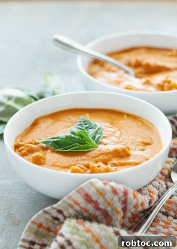dairy-free-tomato-basil-soup-recipe
