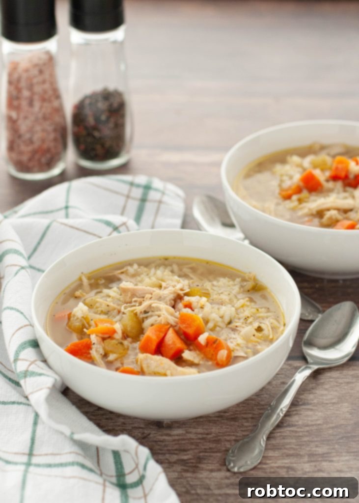 two-bowls-of-chicken-and-rice-soup