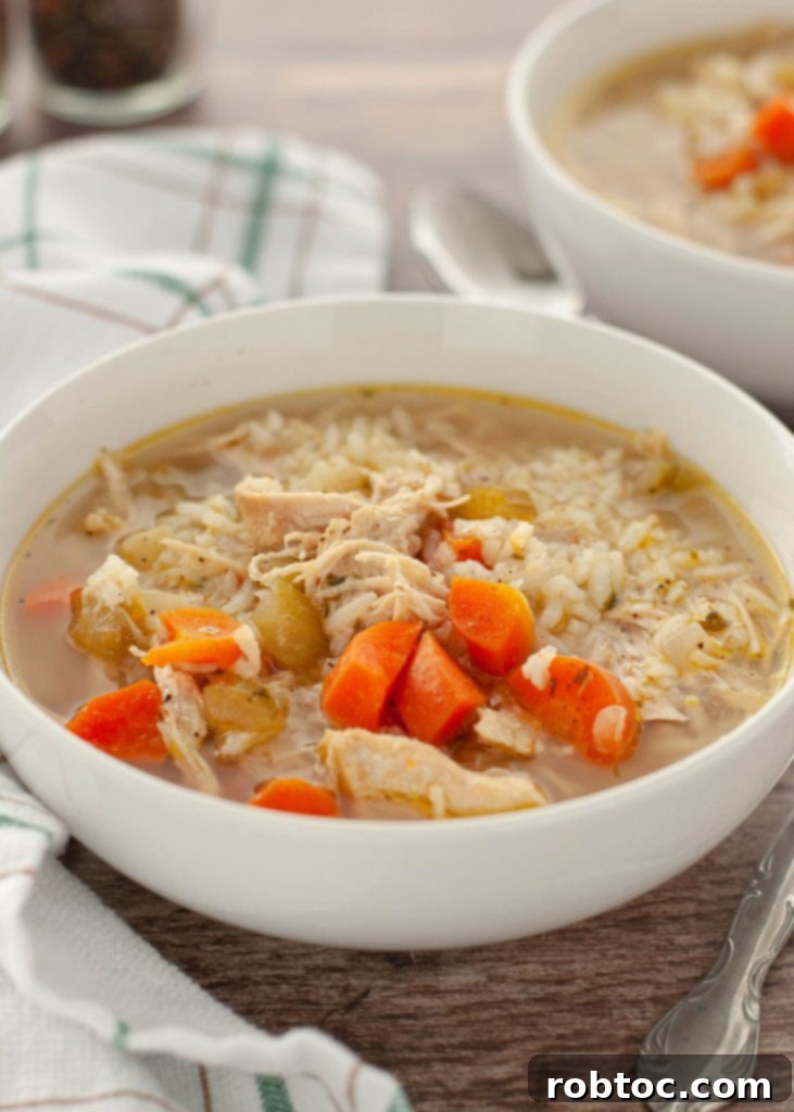 Comforting Gluten-Free Dairy-Free Chicken Rice Soup 4 how-to-make-chicken-and-rice-soup-dairy-free-bowl-close-up