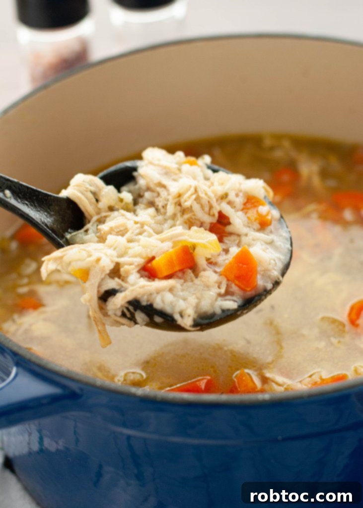 Comforting Gluten-Free Dairy-Free Chicken Rice Soup 5 easy-gluten-and-dairy-free-chicken-and-rice-soup-being-ladeled-out-of-a-dutch-oven