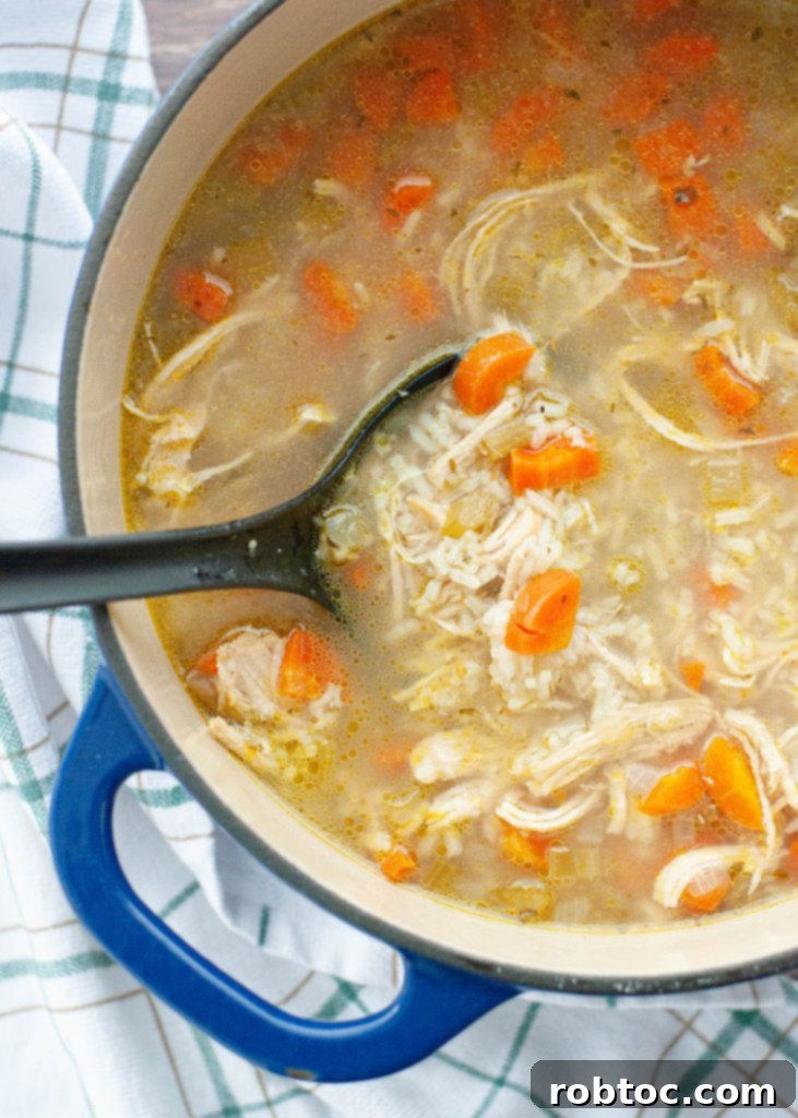 Comforting Gluten-Free Dairy-Free Chicken Rice Soup 6 dairy-free-gluten-free-chicken-and-rice-soup-from-above-in-a-dutch-oven
