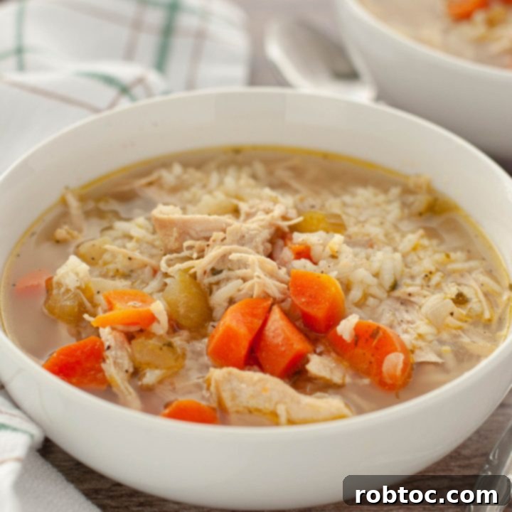 how-to-make-chicken-and-rice-soup-dairy-free-bowl-close-up