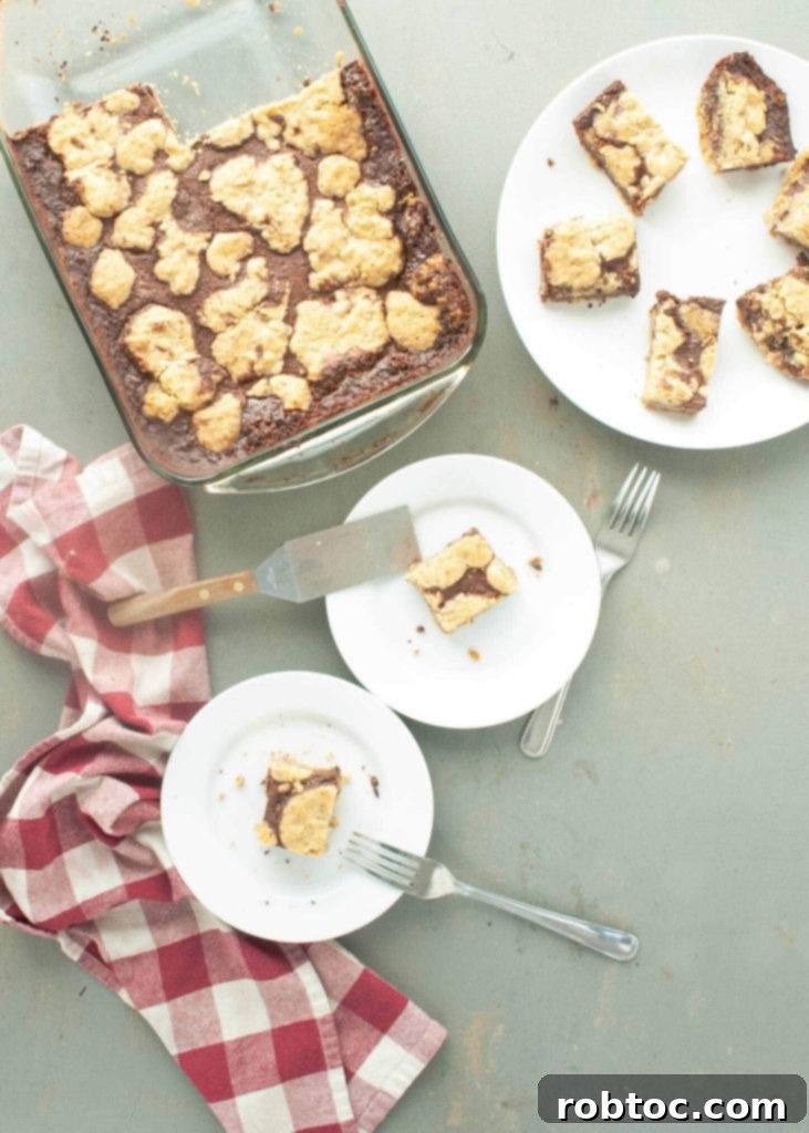 gluten free dairy free oatmeal fudge bar