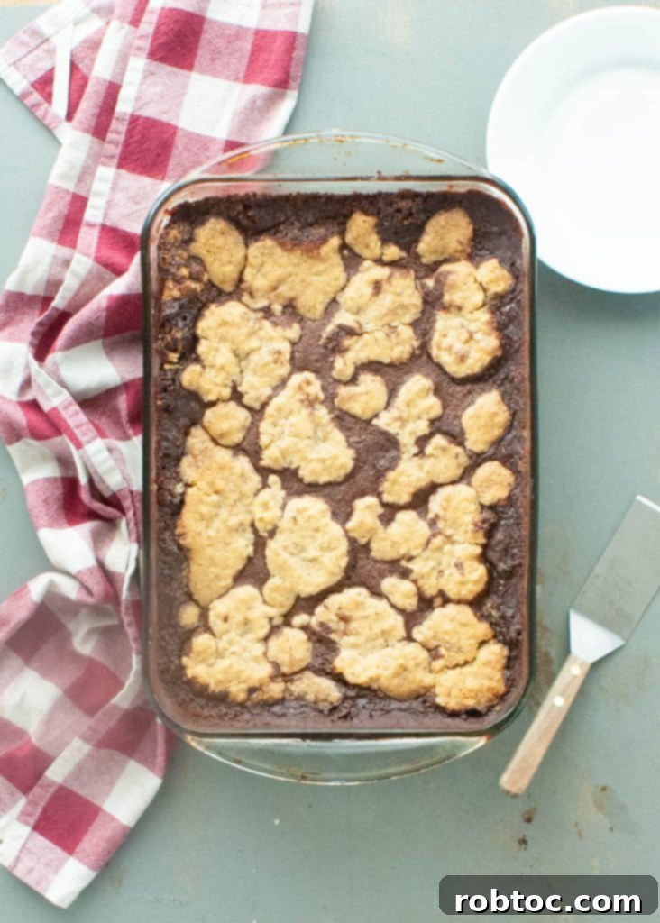 gluten free vegan oatmeal fudge bars