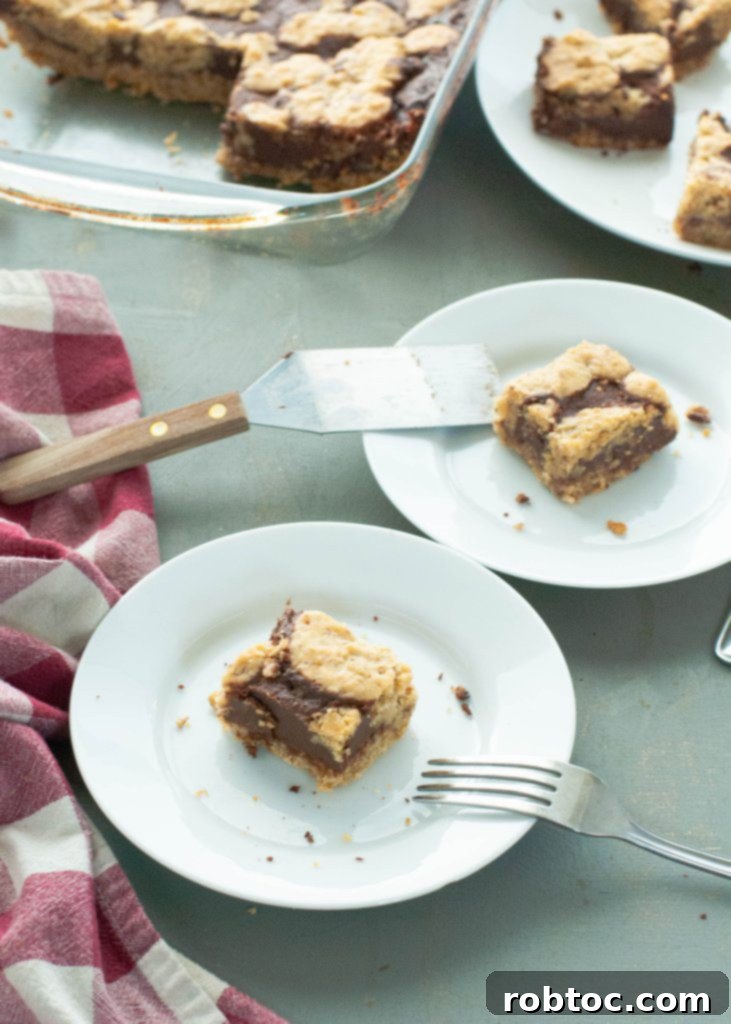 gluten free dairy free holiday oatmeal fudge bars