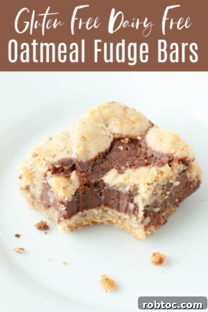 christmas recipe gluten free dairy free oatmeal fudge bar dessert