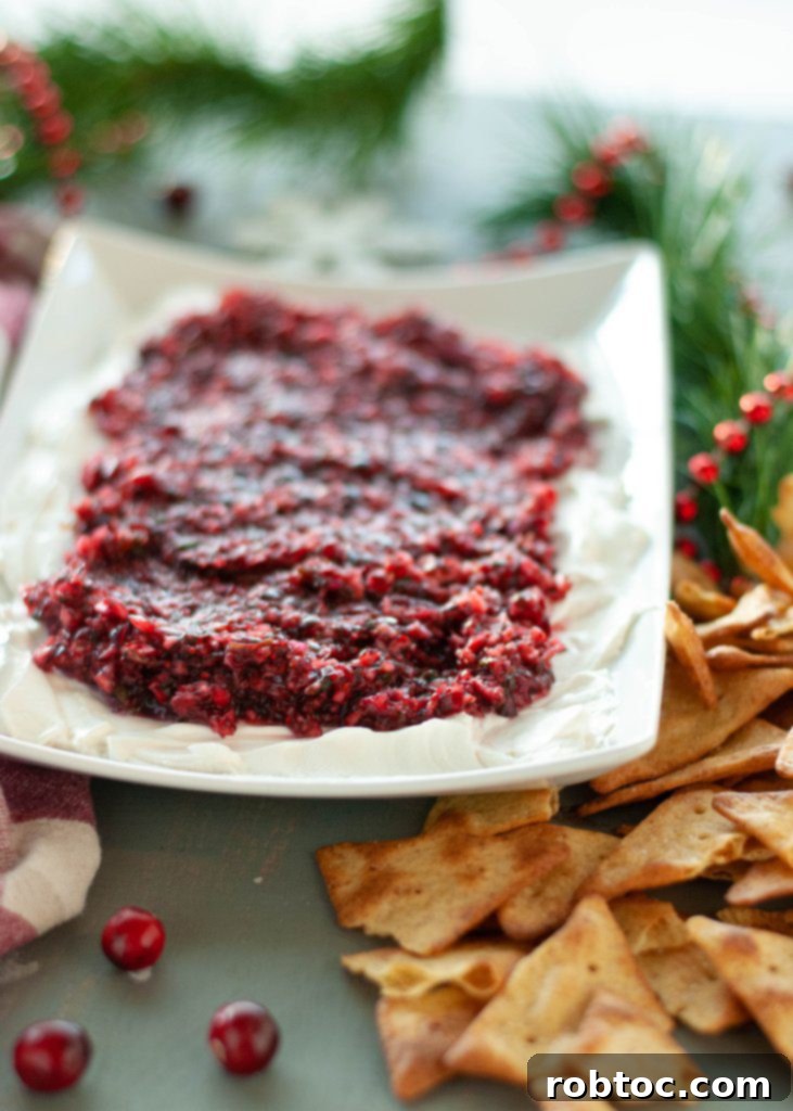 Festive Dairy-Free Cranberry Salsa 3 how-to-make-cranberry-cream-cheese-salsa-dairy-free