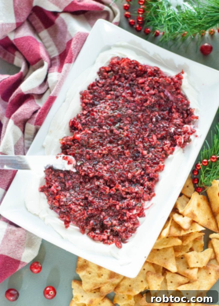Festive Dairy-Free Cranberry Salsa 4 dairy-free-holiday-appetizer