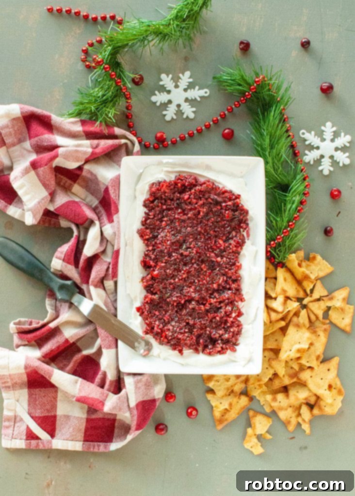 Festive Dairy-Free Cranberry Salsa 5 dairy-free-cranberry-salsa-dip