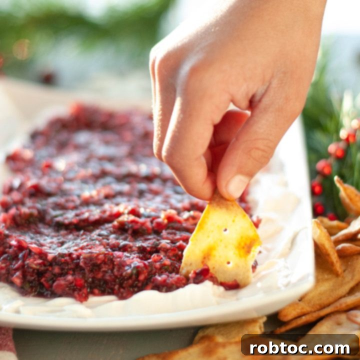 dairy-free-cranberry-salsa-dip