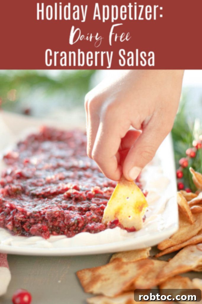 Festive Dairy-Free Cranberry Salsa 9 dairy-free-holiday-appetizer-cranberry-salsa