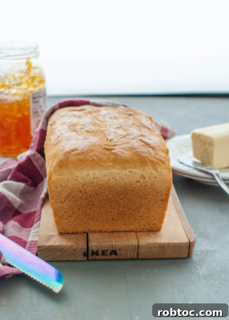 gluten-free-dairy-free-egg-free-bread