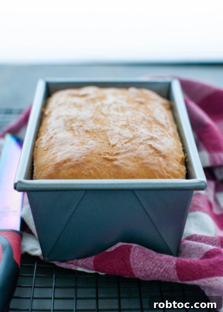 white-loaf-of-gluten-free-dairy-free-homemade-bread
