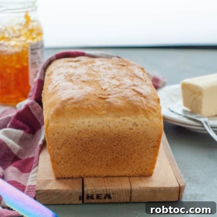 gluten-free-dairy-free-egg-free-bread