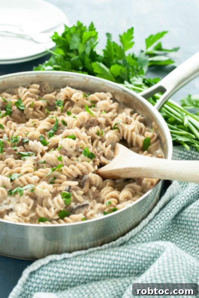 dairy-free-beef-stroganoff