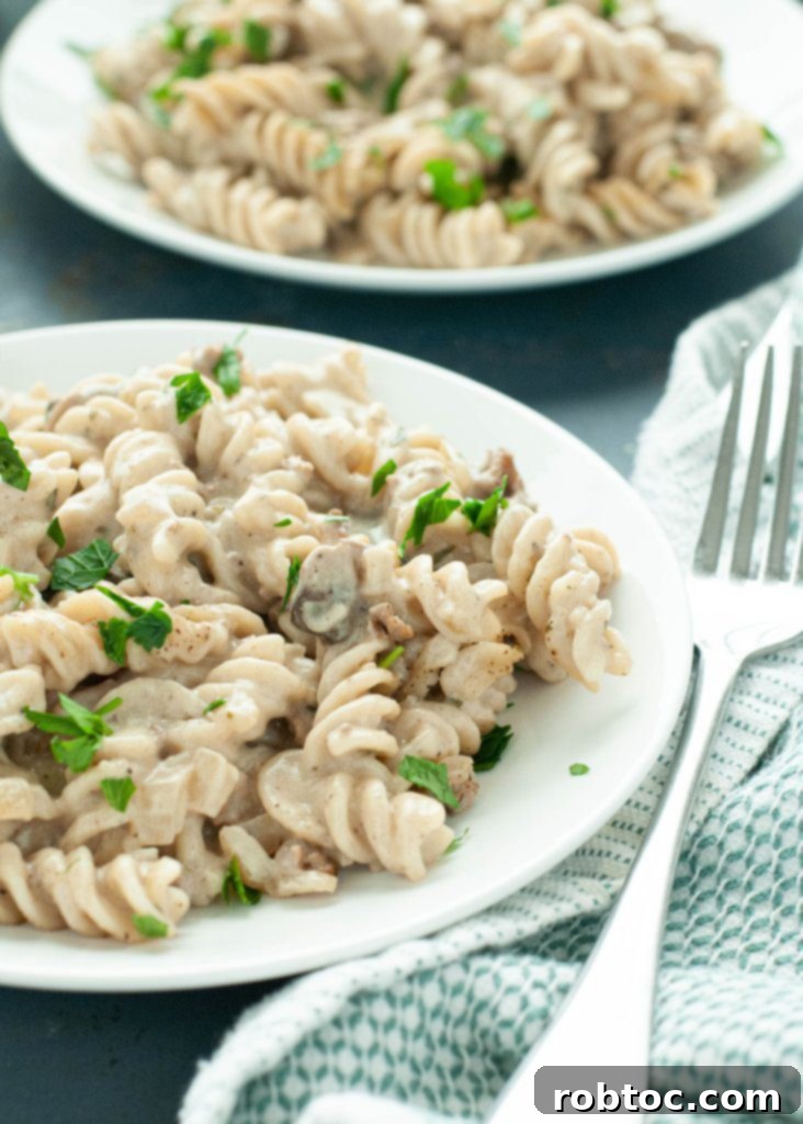 easy-dairy-free-stroganoff-recipe