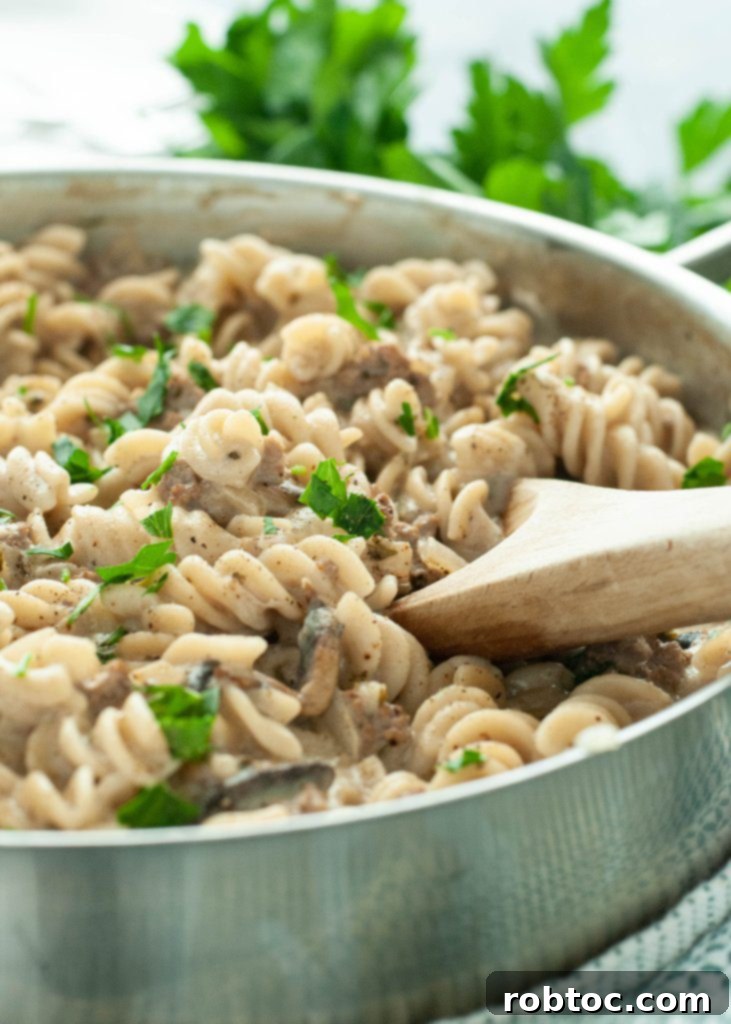 stroganoff-made-dairy-free