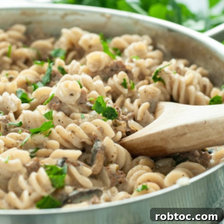 stroganoff-made-dairy-free