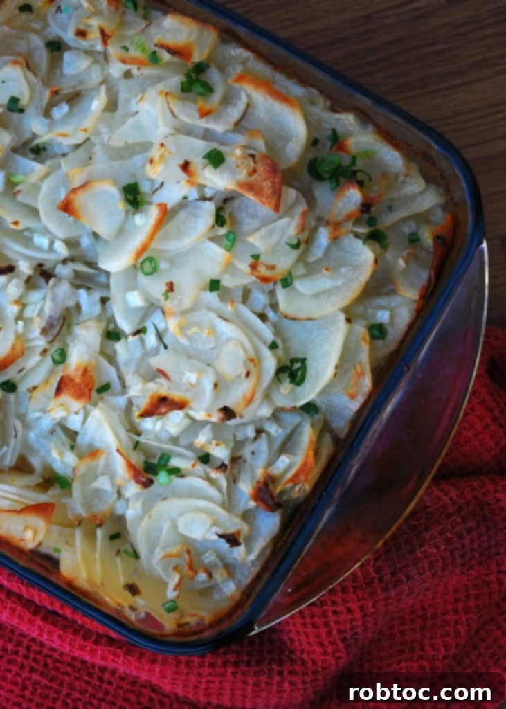 Pantry Perfect Vegan Scalloped Potatoes 2 Creamy, Gluten-Free, Dairy-Free, Nut-Free Vegan Scalloped Potatoes for Holidays