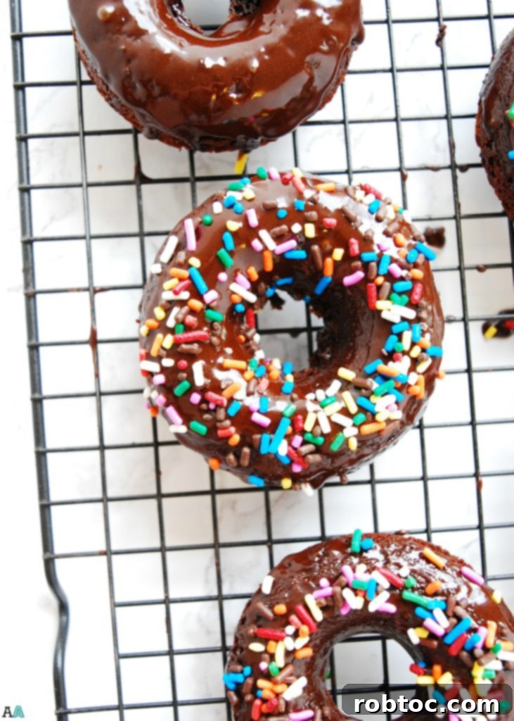 Gluten-free & Vegan Double Chocolate Baked Donuts (Gluten, dairy, egg, soy, peanut & tree nut free; top 8 free) Breakfast recipe by AllergyAwesomeness.com