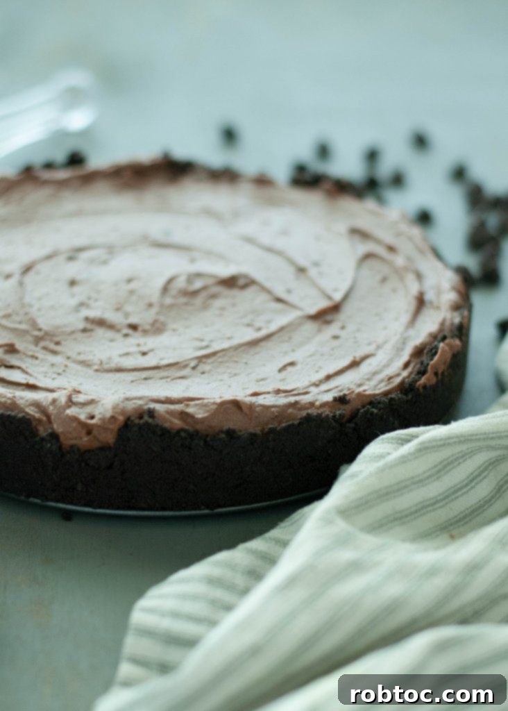 egg-free-dairy-free-chocolate-cheesecake-recipe