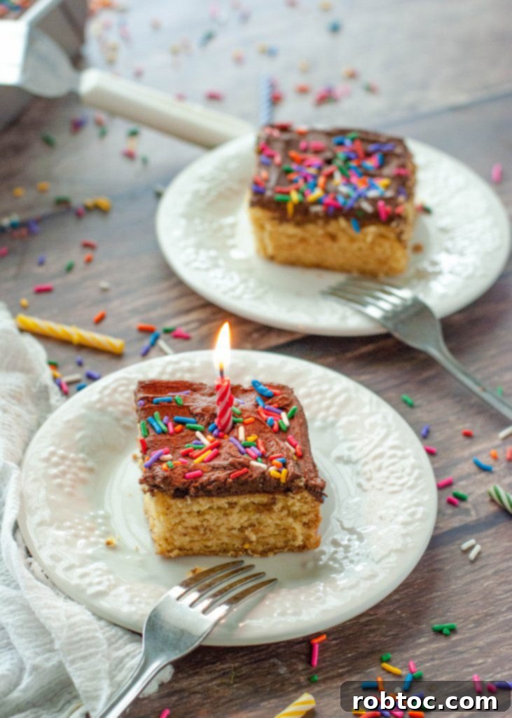 Two slices of gluten-free vegan birthday cake with chocolate frosting and a lit candle.
