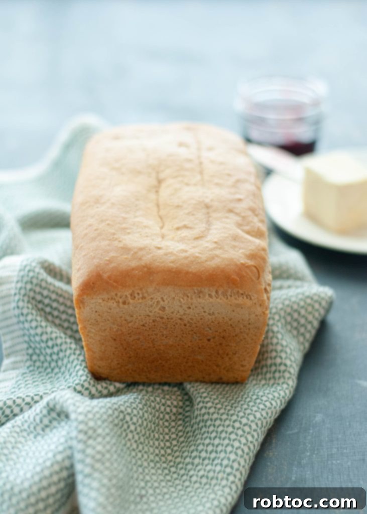 Easy Homemade Gluten Free Vegan Bread 2 homemade-gluten-free-vegan-bread-recipe