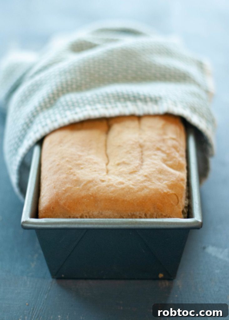 Easy Homemade Gluten Free Vegan Bread 5 how-to-make-gluten-free-vegan-bread