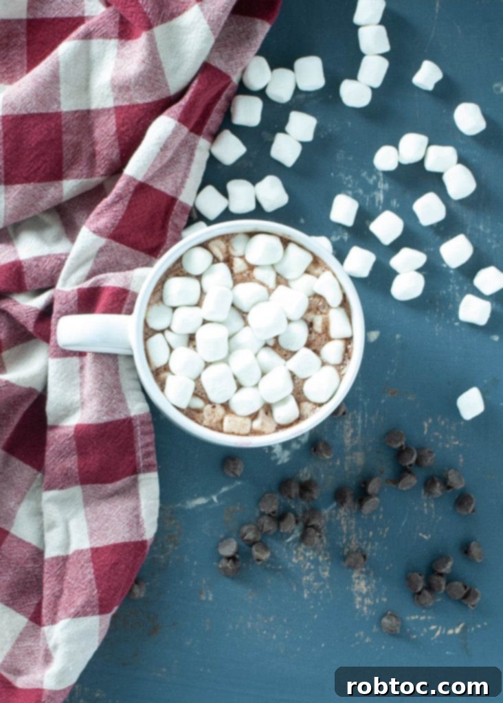 Dairy-free slow cooker hot cocoa ready for serving in a festive mug.