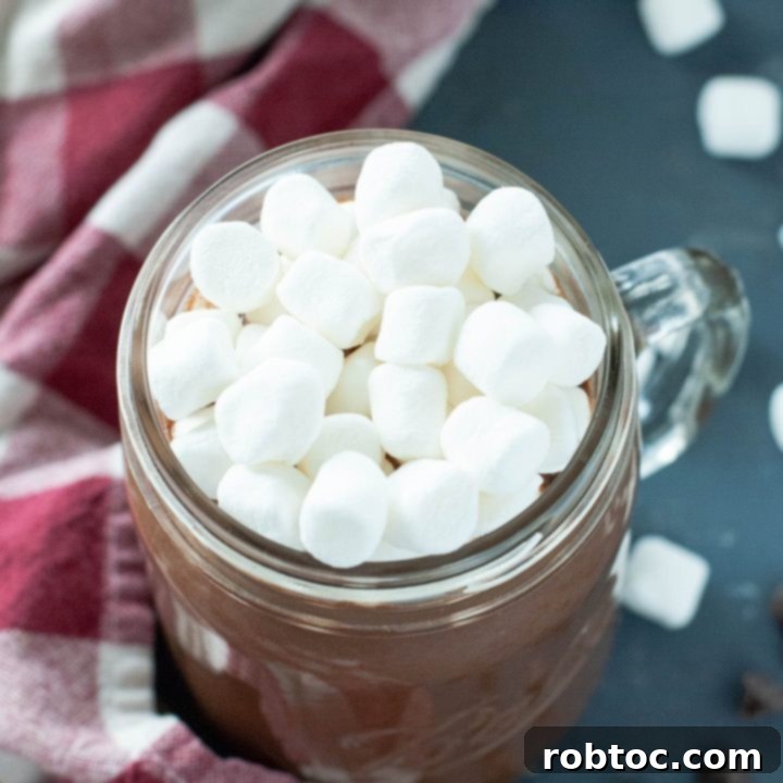 dairy-free-slow-cooker-hot-cocoa-