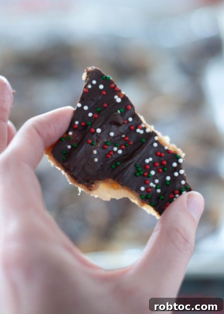 vegan-christmas-crack decorated with sprinkles