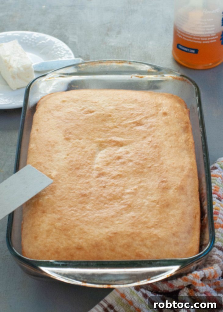 sliced gluten-free dairy-free cornbread on a plate, showing its cake-like texture