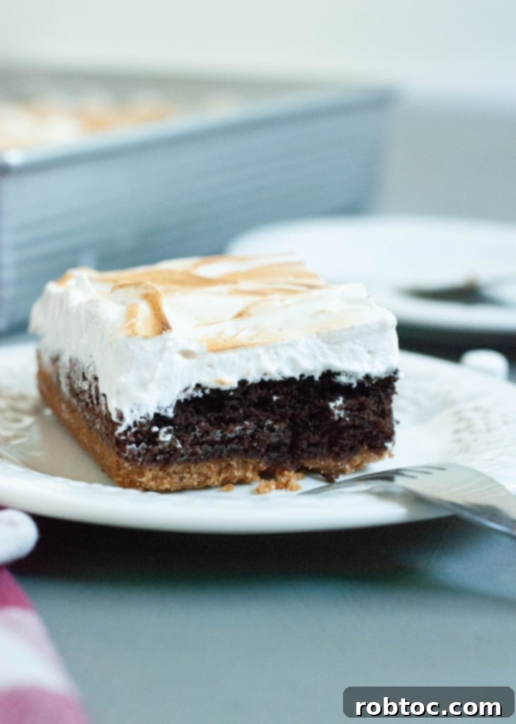 Decadent Gluten Free Dairy Free Smores Brownie Bars 2 gluten-free-dairy-free-smores-bars