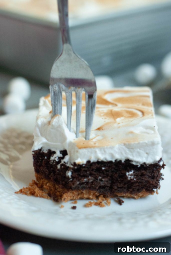 Decadent Gluten Free Dairy Free Smores Brownie Bars 3 gluten-free-smores-brownie-bars