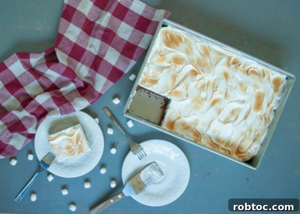 Decadent Gluten Free Dairy Free Smores Brownie Bars 4 dairy-free-smores-brownie-bars