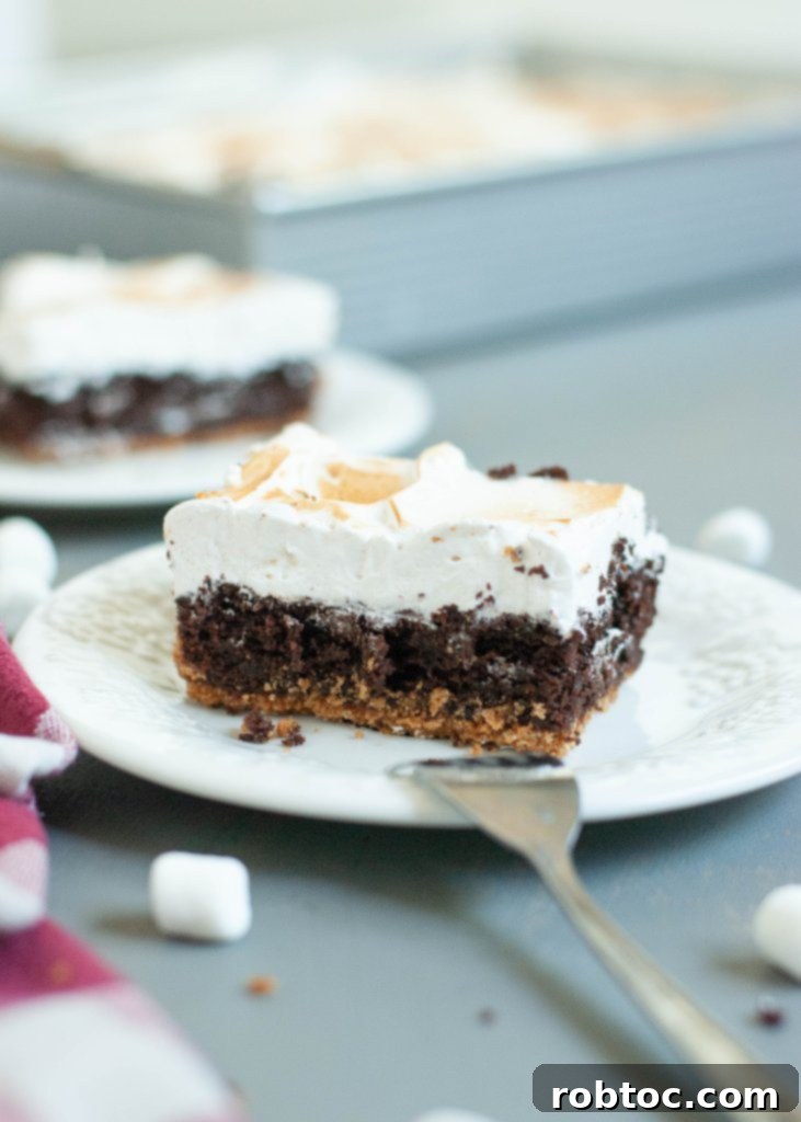 Decadent Gluten Free Dairy Free Smores Brownie Bars 5 allergy-friendly-smores-brownie-bars