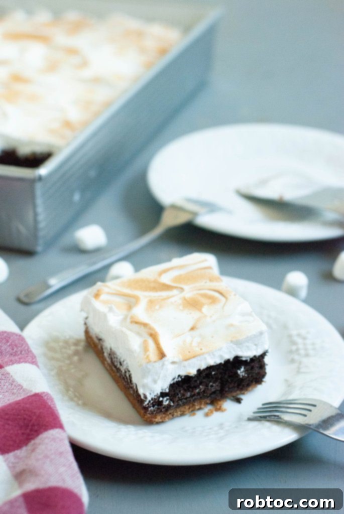 Decadent Gluten Free Dairy Free Smores Brownie Bars 6 dairy-free-gluten-free-smores-brownie-bars