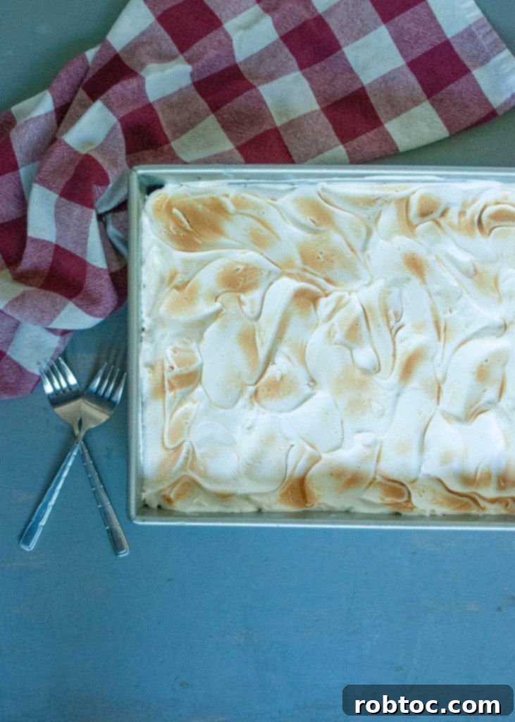 Decadent Gluten Free Dairy Free Smores Brownie Bars 7 gluten-free-dairy-free-summer-desserts