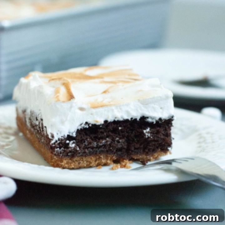 gluten-free-dairy-free-smores-bars