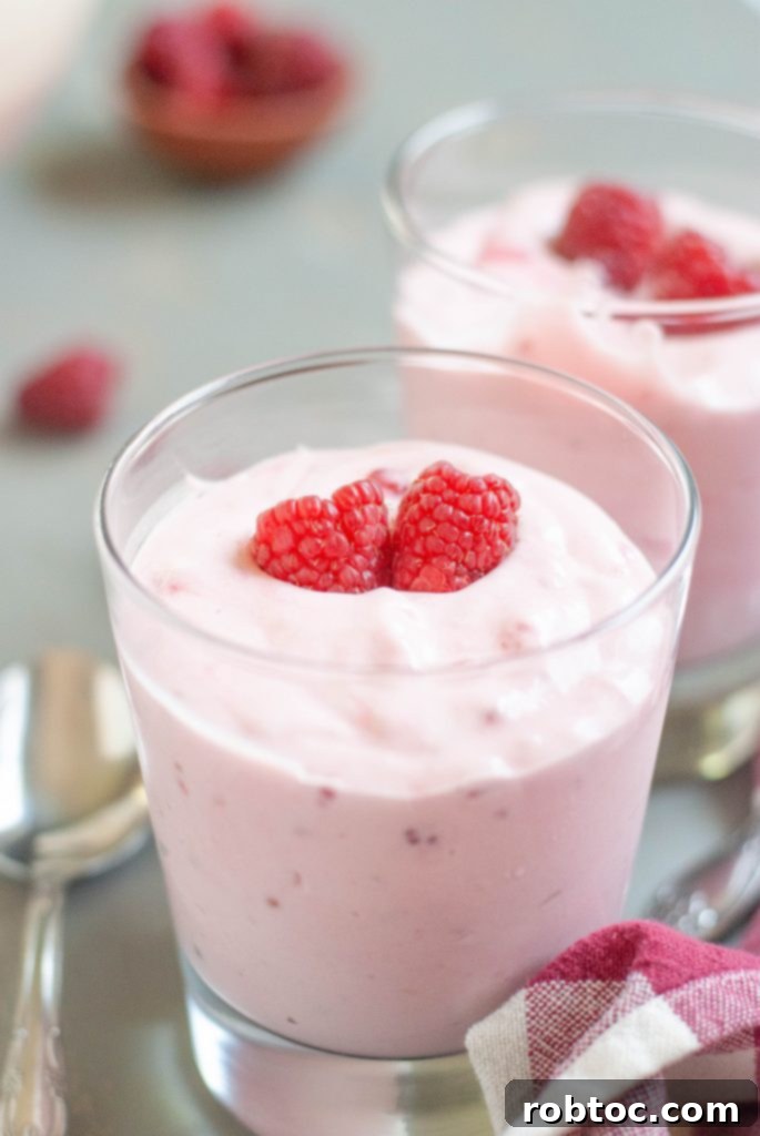 Raspberry Cloud Dream 2 dairy-free-raspberry-fluff