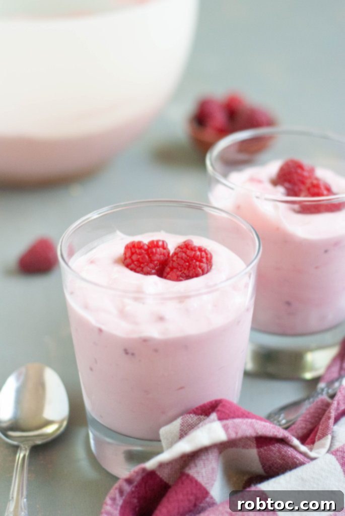 Raspberry Cloud Dream 6 vegan-raspberry-fluff