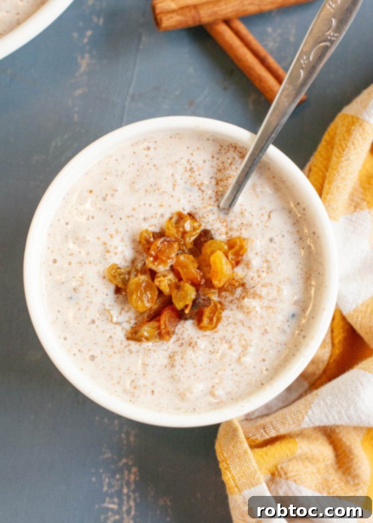 Creamy Gluten-Free Rice Pudding 2 gluten-free-rice-pudding - A bowl of creamy rice pudding topped with cinnamon.