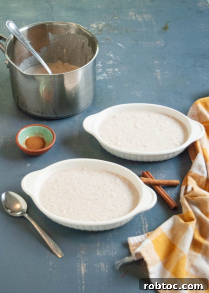 Creamy Gluten-Free Rice Pudding 3 gluten-free-rice-pudding - A close-up of creamy rice pudding with cinnamon sprinkle.