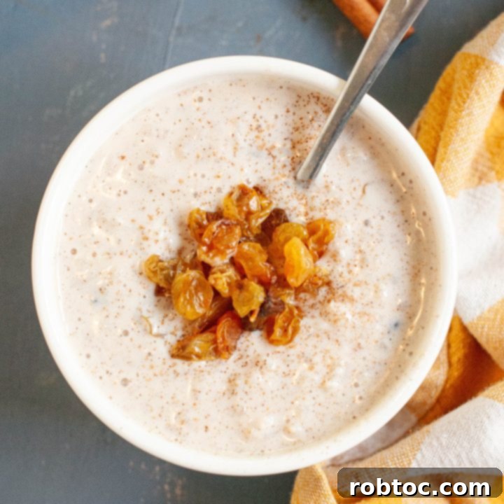 gluten-free-rice-pudding - A bowl of creamy rice pudding with cinnamon.