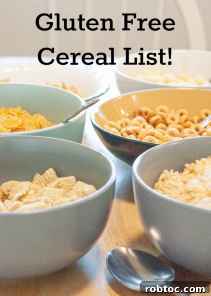 Explore 90 Varieties of Delicious Gluten-Free Cereals 2 list-of-gluten-free-cereals